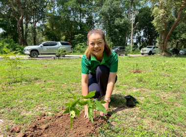 กิจกรรมวันต้นไม้ประจำปีของชาติ พ.ศ. 2568 พารามิเตอร์รูปภาพ 7